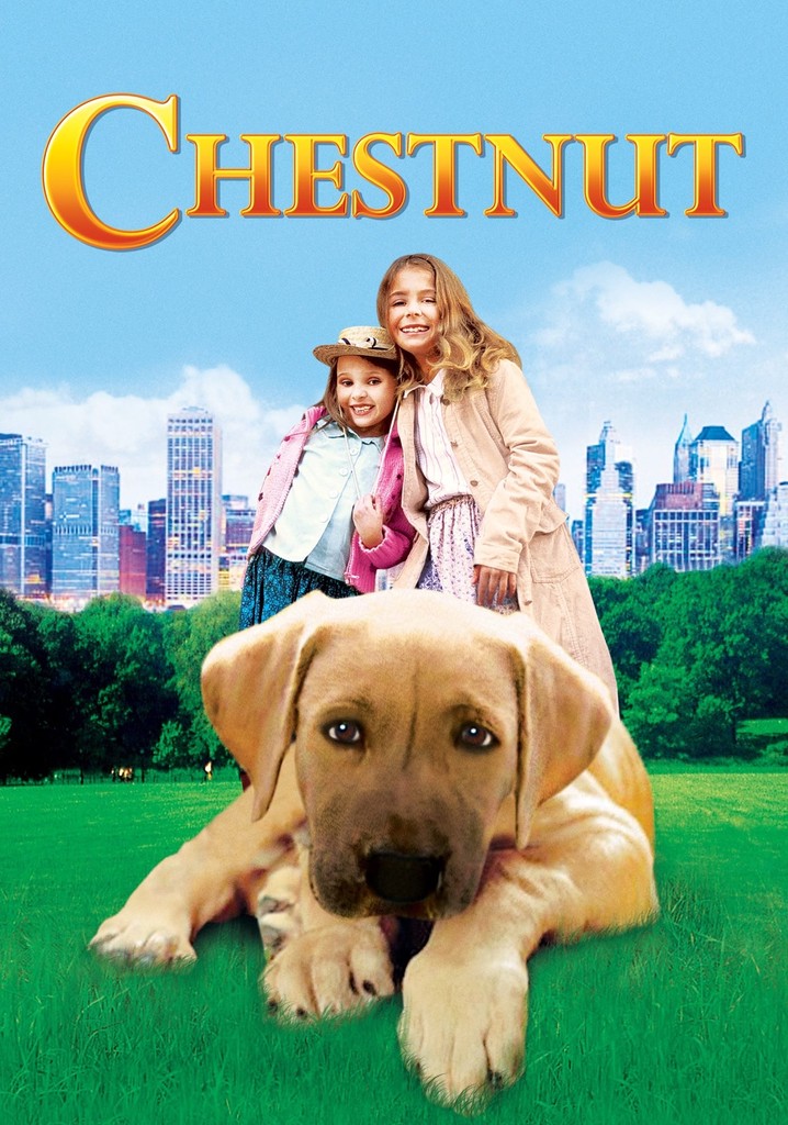 Chestnut: Hero of Central Park poster