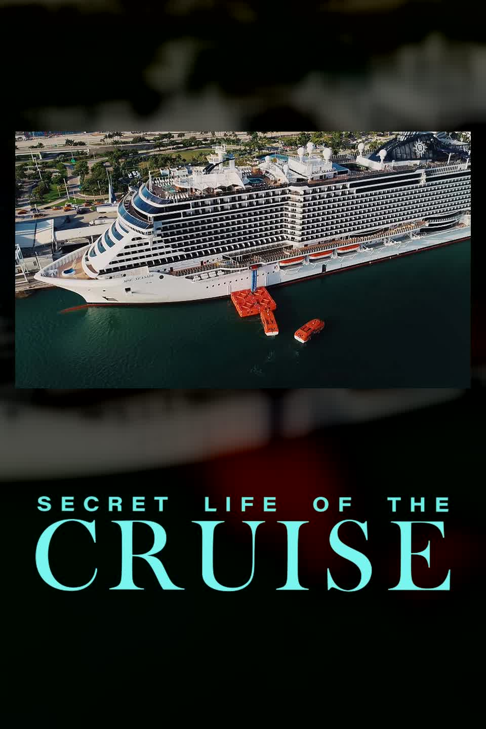 The Secret Life of Cruise Ships poster